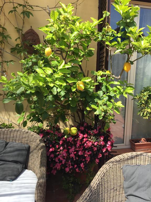 Terrazza Duomo Bed & Breakfast Napoli Ngoại thất bức ảnh